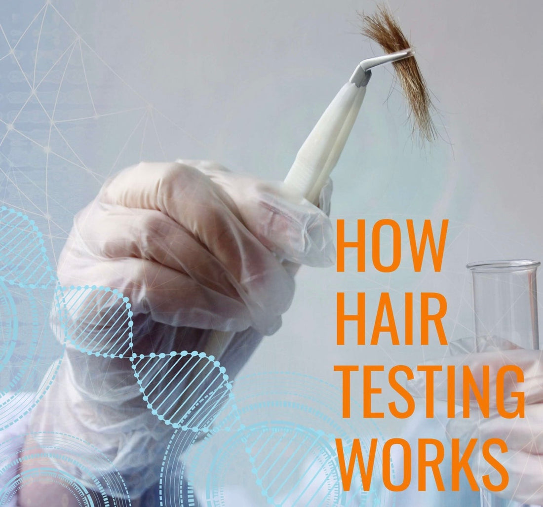 Understanding Hair Drug Testing