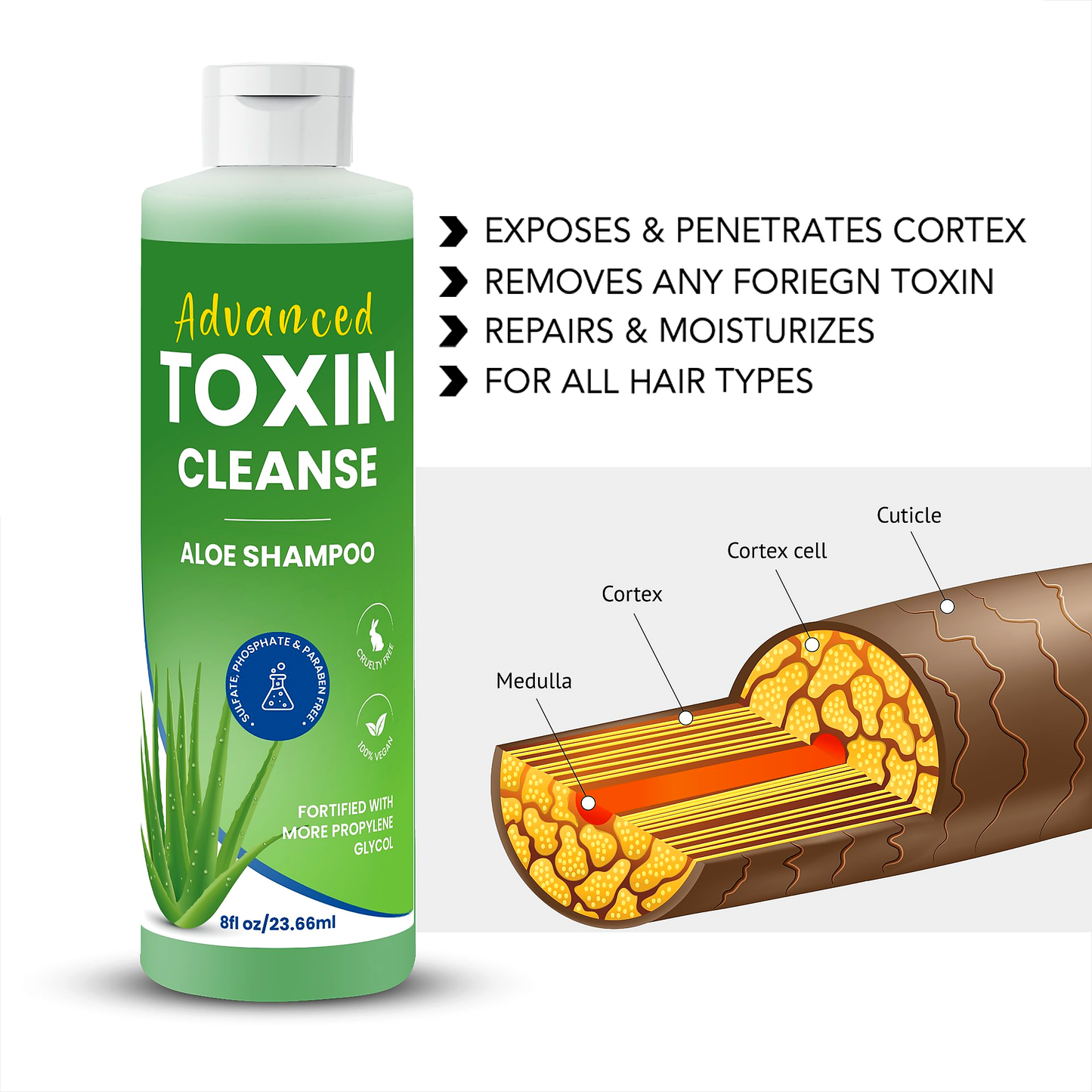 Full Coverage Detox Bundle: Shampoo + 2x Zydot